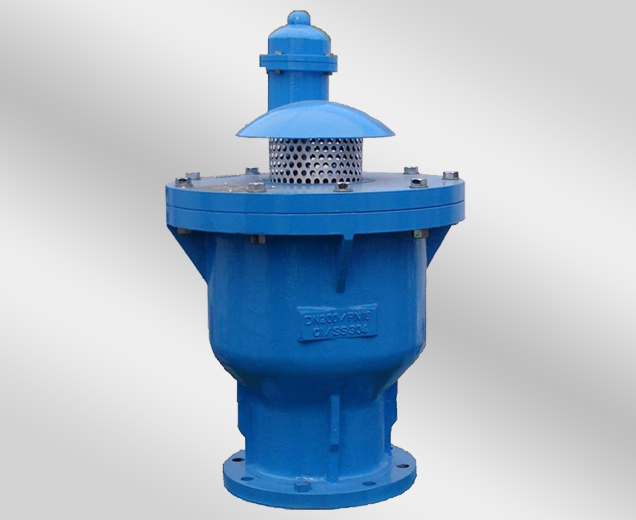 Combination Air Valve