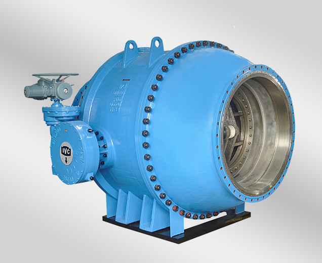 Flow Control Plunger Valve