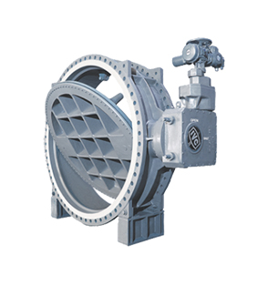 Butterfly Valve