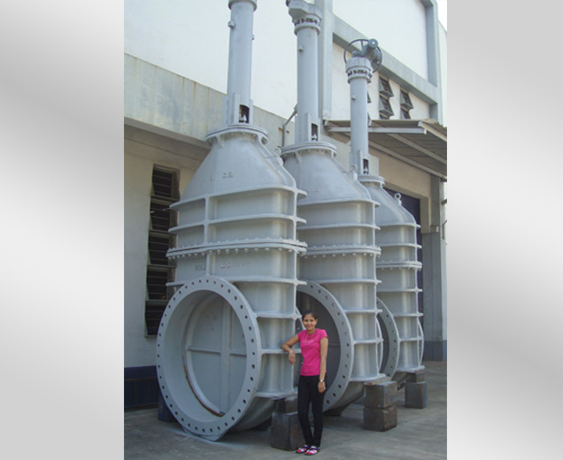 Rising Spindle Gate Valve