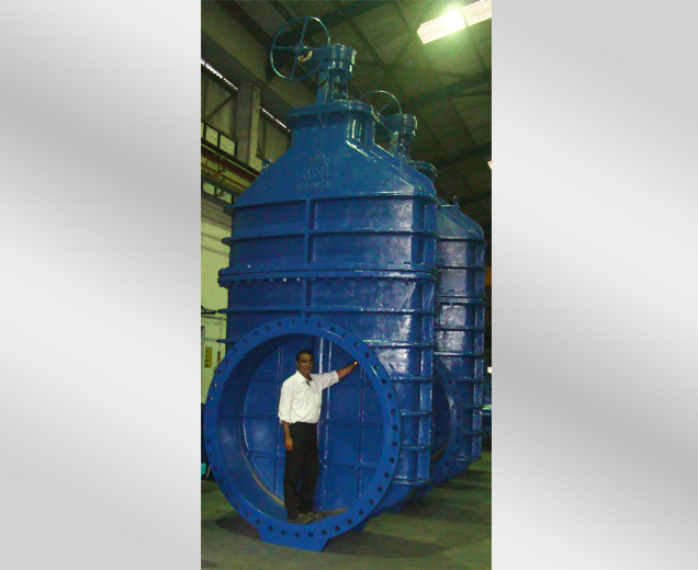 Rising Spindle Gate Valve