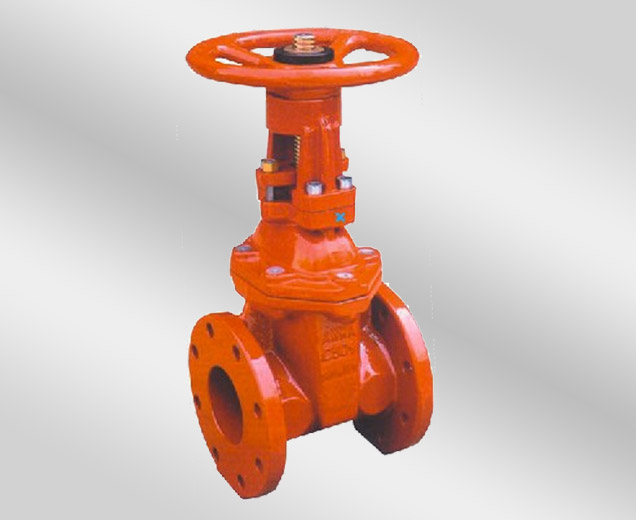 RESILIENT SEATED GATE VALVE (Rising Spindle 50-300 NB)